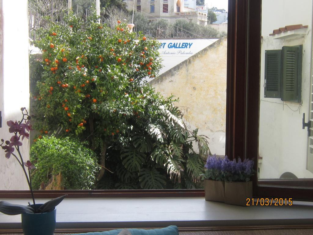 Villa Apollo B&B Acomodação com café da manhã  Capri