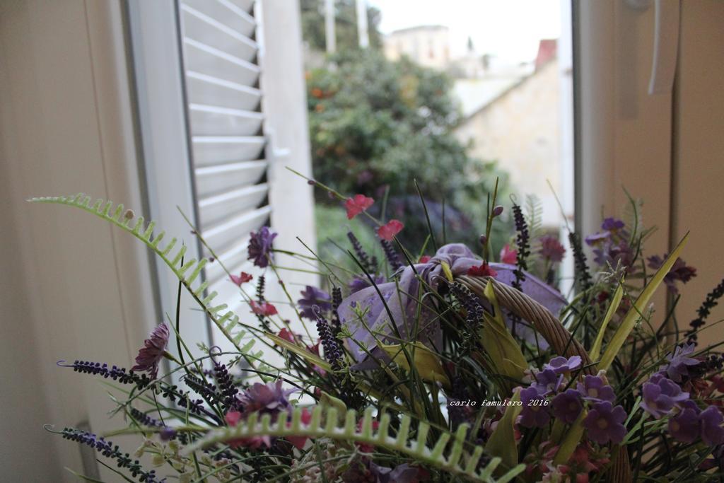 Villa Apollo B&B 2*